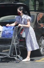 DITA VON TEESE and Adam Rajcevich Out Shopping in Los Angeles 08/09/2022