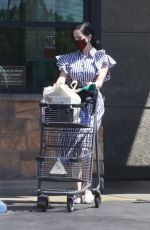 DITA VON TEESE and Adam Rajcevich Out Shopping in Los Angeles 08/09/2022
