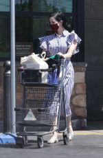 DITA VON TEESE and Adam Rajcevich Out Shopping in Los Angeles 08/09/2022
