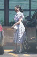DITA VON TEESE and Adam Rajcevich Out Shopping in Los Angeles 08/09/2022