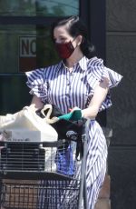 DITA VON TEESE and Adam Rajcevich Out Shopping in Los Angeles 08/09/2022