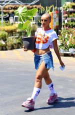 DOJA CAT Out Shopping in Calabasas 08/17/2022