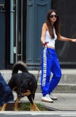 EMILY RATAJKOWSKI Out with Her Baby and Dog in New York 08/27/2022