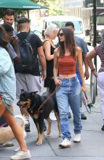 EMILY RATAJKOWSKI Out with Her Dog Colombo in New York 08/08/2022
