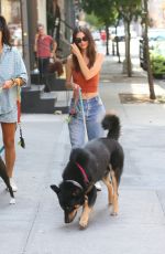 EMILY RATAJKOWSKI Out with Her Dog Colombo in New York 08/08/2022
