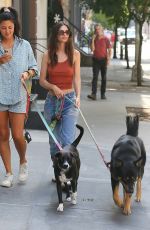 EMILY RATAJKOWSKI Out with Her Dog Colombo in New York 08/08/2022
