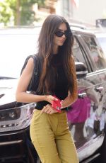 EMILY RATAJKOWSKI Out with Her Dog in New York 08/11/2022