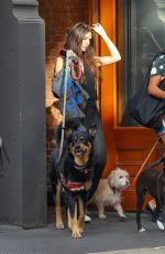 EMILY RATAJKOWSKI Out with Her Dog in New York 08/18/2022