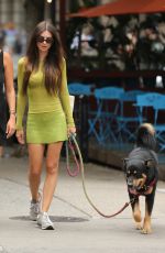 EMILY RATAJKOWSKI Walks Her Dog Out in New York 08/10/2022