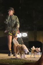 JULIETTE LEWIS Out with Her Dogs in Hollywood 08/26/2022