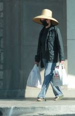 KIM BASINGER Shopping Pet Food in Woodland Hills 08/22/2022