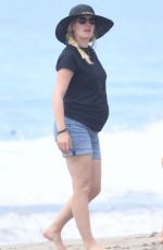 Pregnant HEIDI MONTAG Out with Her Dog at a Beach in Los Angeles 08/04/2022