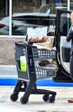 RENEE ZELLWEGER Out Shopping for Balloons and Groceries in Laguna Beach 08/10/2022