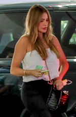 SOFIA VERGARA Out Shopping in Beverly Hills 08/08/2022