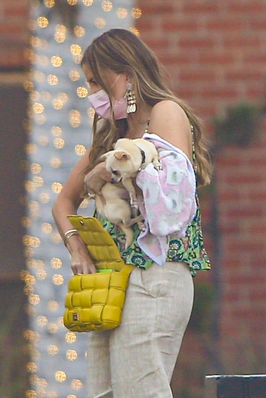 SOFIA VERGARA Out Shopping with Her Doggy at XIV Karats in Beverly Hills 08/01/2022