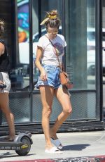 ALESSANDRA AMBROSIO Out Shopping and Out to Lunch at Gjelina in Venice Beach 09/16/2022