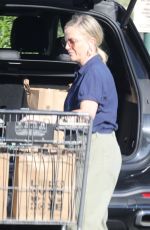 AMY POEHLER Shopping for Groceries at Bristol Farms in Beverly Hills 09/01/2022