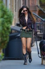 EMILY RATAJKOWSKI Out with Her Dog in New York 09/01/2022