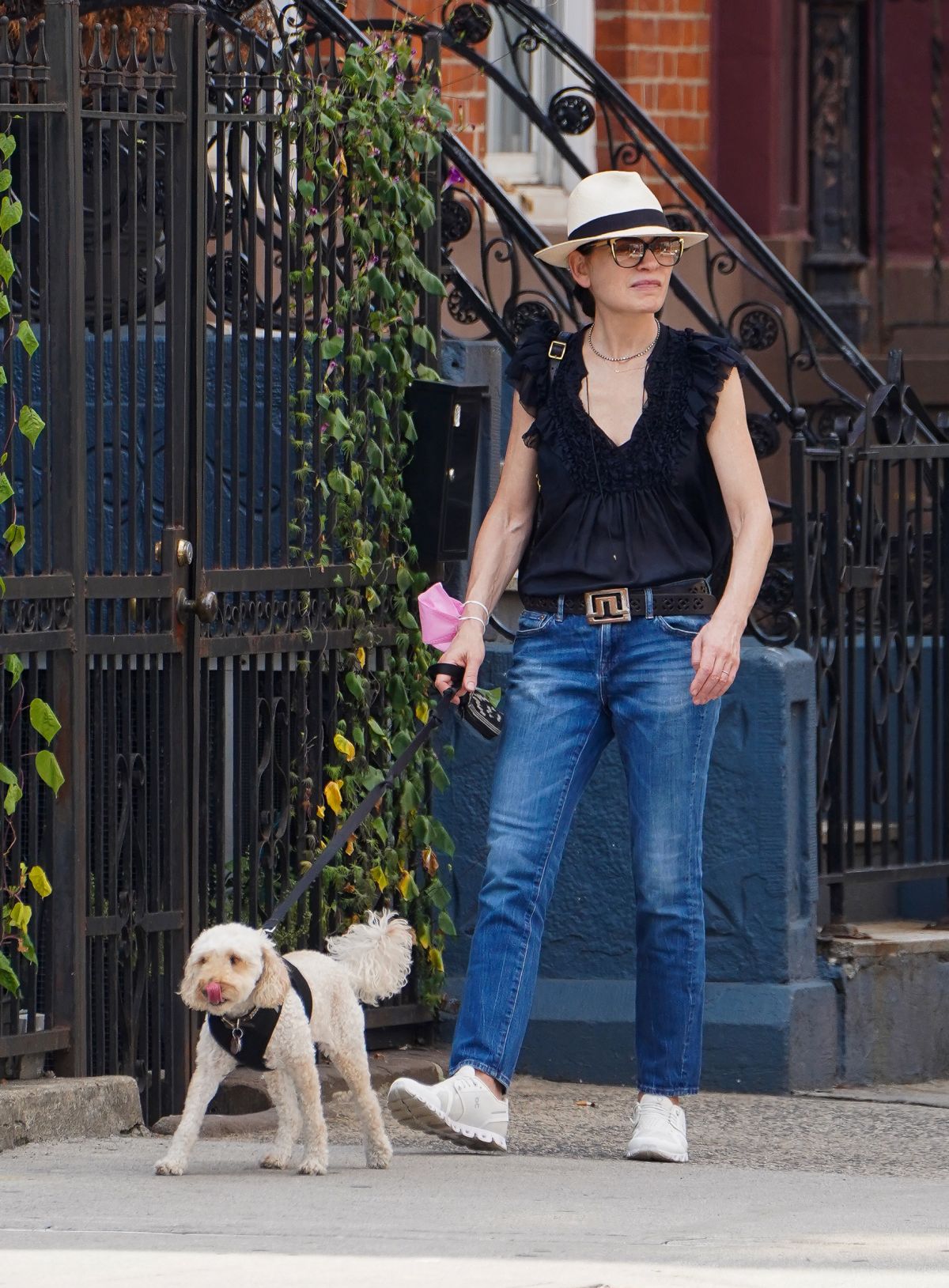 JULIANNA MARGUILES Out with Her Dog in New York 08/31/2022.