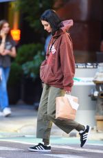 MEADOW WALKER and Louis Thornton-Allan Out with Their Dog in New York 09/24/2022