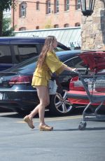 SCOUT WILLIS Out for Grocery Shopping in Los Angeles 09/12/2022