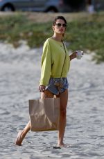 ALESSANDRA AMBROSIO at a Beach in Santa Monica 10/01/2022