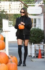 ALESSANDRA AMBROSIO Out Shopping for Pumpkins in Brentwood 10/27/2022