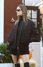 ALESSANDRA AMBROSIO Out Shopping for Pumpkins in Brentwood 10/27/2022