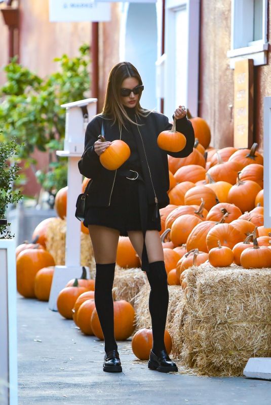 ALESSANDRA AMBROSIO Out Shopping for Pumpkins in Brentwood 10/27/2022