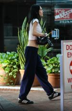 AMELIA HAMLIN Arrives at a Spa in Beverly Hills 10/17/2022