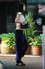 AMELIA HAMLIN Arrives at a Spa in Beverly Hills 10/17/2022