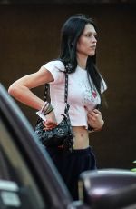 AMELIA HAMLIN Arrives at a Spa in Beverly Hills 10/17/2022