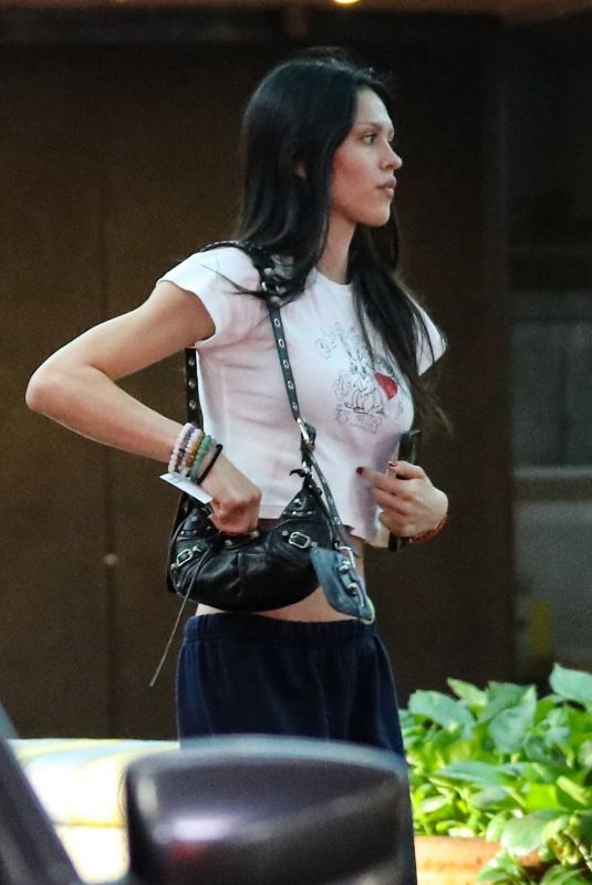 AMELIA HAMLIN Arrives at a Spa in Beverly Hills 10/17/2022