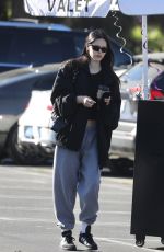 AMELIA HAMLIN Out for Coffee at Erewhon Market in Studio City 10/25/2022