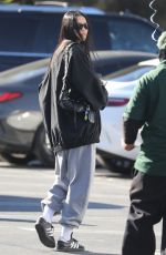 AMELIA HAMLIN Out for Coffee at Erewhon Market in Studio City 10/25/2022