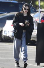 AMELIA HAMLIN Out for Coffee at Erewhon Market in Studio City 10/25/2022