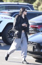 AMELIA HAMLIN Out for Coffee at Erewhon Market in Studio City 10/25/2022