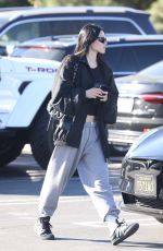 AMELIA HAMLIN Out for Coffee at Erewhon Market in Studio City 10/25/2022