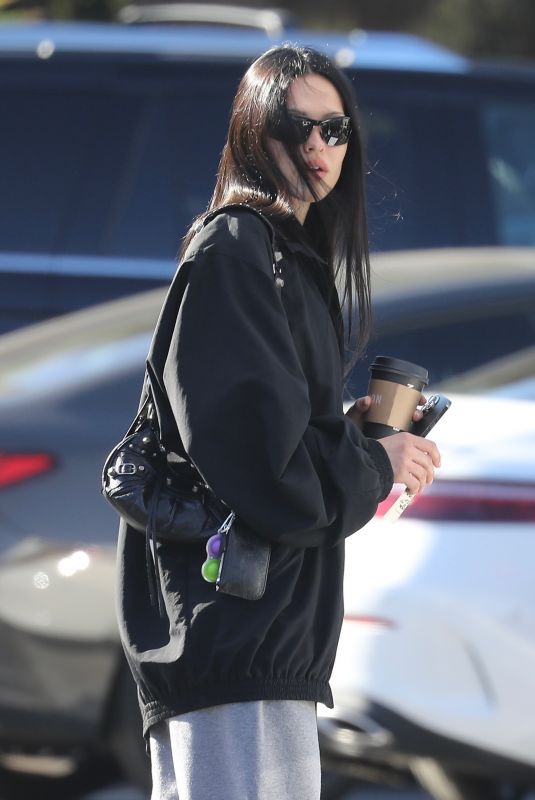 AMELIA HAMLIN Out for Coffee at Erewhon Market in Studio City 10/25/2022