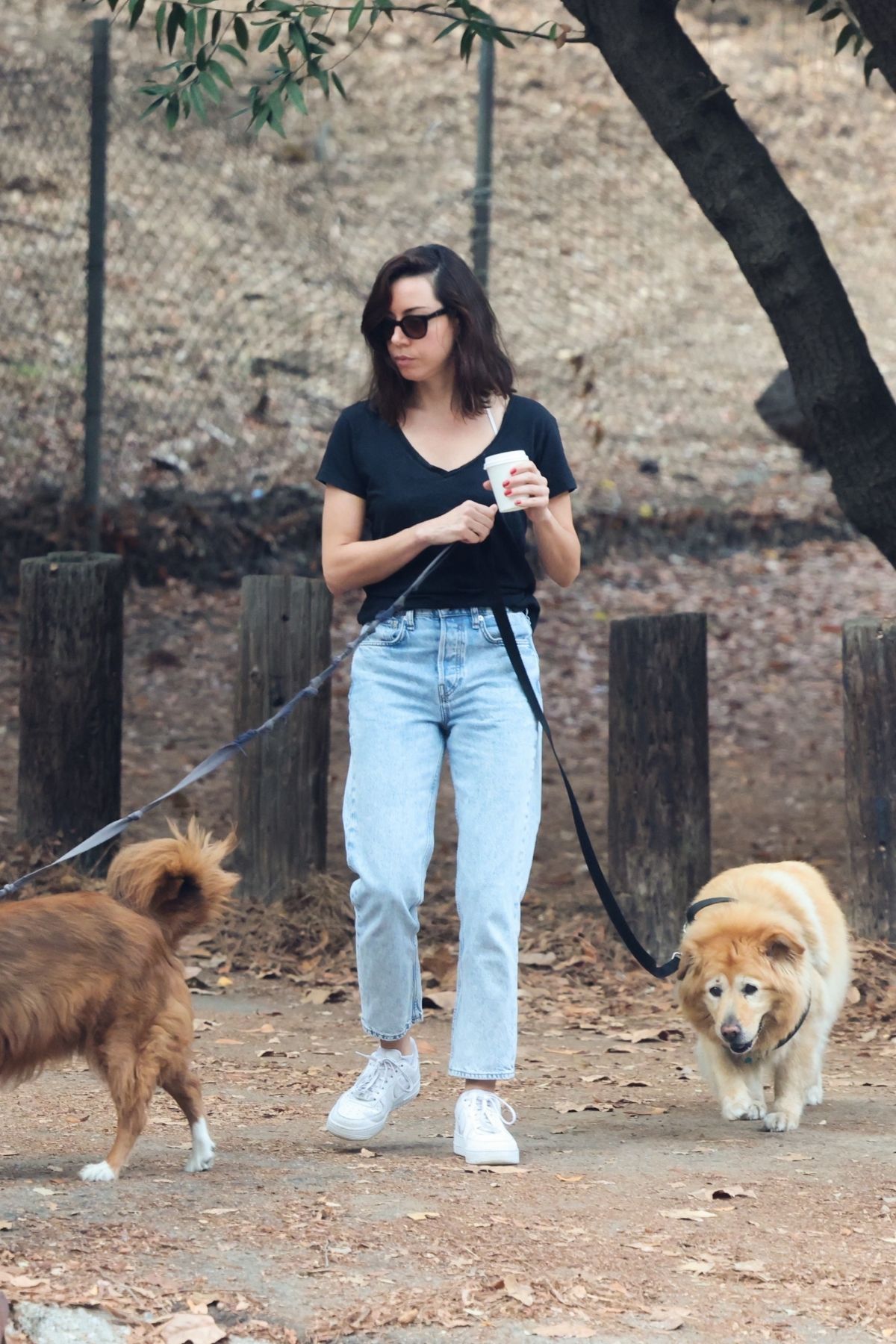 Aubrey Plaza keeps it casual in a crop top and denim while walking her dogs  in