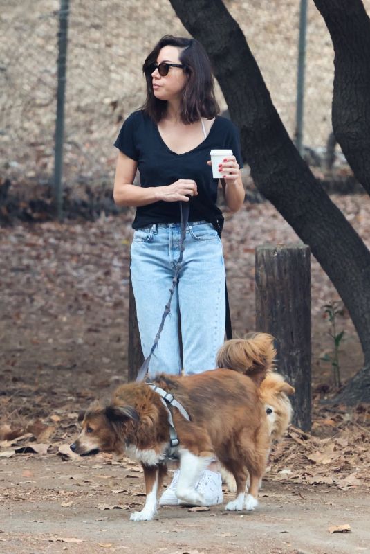 AUBREY PLAZA Out Hiking with Her Dogs in Los Feliz 10/22/2022
