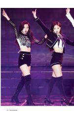 BLACKPINK - The Unofficial Fanbook 2022