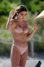 CHANTEL JEFFRIES in Bikini at a Beach in Miami 10/27/2022