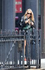 CHLOE SEVIGNY Out and About in New York 10/13/2022