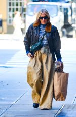 CHLOE SEVIGNY Out in New York 10/20/2022