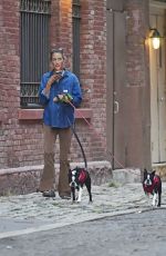 CHRISTY TURLINGTON Out with Her Dogs in New York 10/07/2022