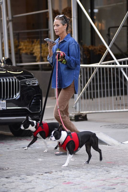 CHRISTY TURLINGTON Out with Her Dogs in New York 10/07/2022