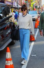 DAKOTA JOHNSON Heading to Her Film Set in New York 10/12/2022