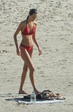 ISABEL LUCAS in Bikini at a Beach in Byron Bay 09/23/2022