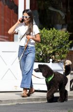 JORDANA BREWSTER Out with Her Dog in Brentwood 10/17/2022